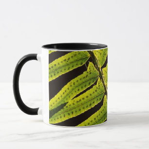 USA, Washington, Olympic National Park, Backlit Mug