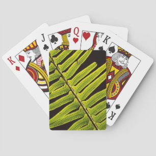 USA, Washington, Olympic National Park, Backlit Playing Cards