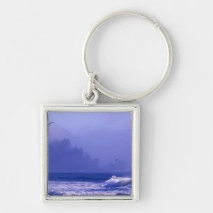 USA, Washington, Olympic National Park. Fog Key Ring