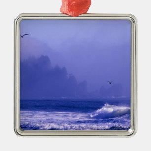 USA, Washington, Olympic National Park. Fog Metal Ornament
