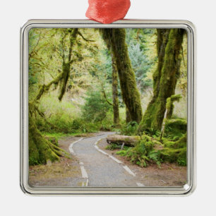 USA, Washington, Olympic National Park, Hiking Metal Tree Decoration