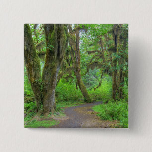 USA, Washington, Olympic National Park, Hoh 15 Cm Square Badge