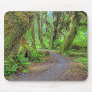 USA, Washington, Olympic National Park, Hoh 2 Mouse Pad