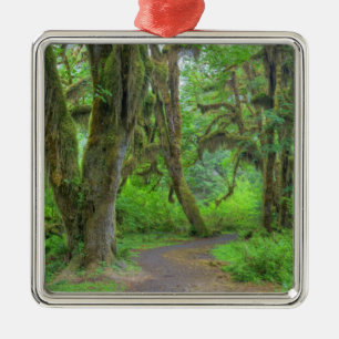 USA, Washington, Olympic National Park, Hoh Metal Ornament