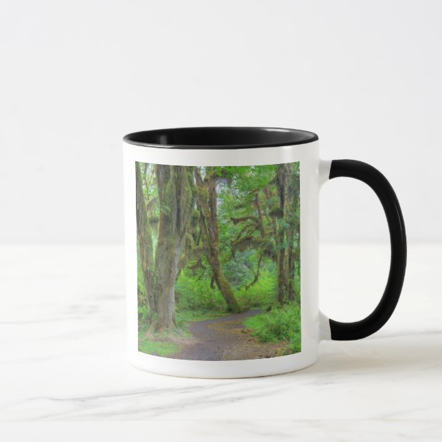 USA, Washington, Olympic National Park, Hoh Mug (Right)