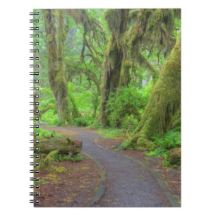 USA, Washington, Olympic National Park, Hoh Rain Notebook
