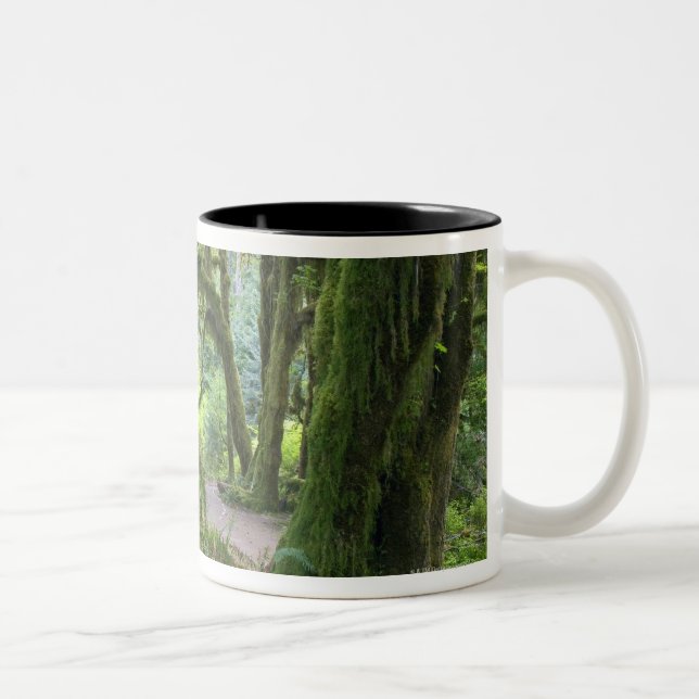 USA, Washington, Olympic National Park, Hoh Rain Two-Tone Coffee Mug (Right)