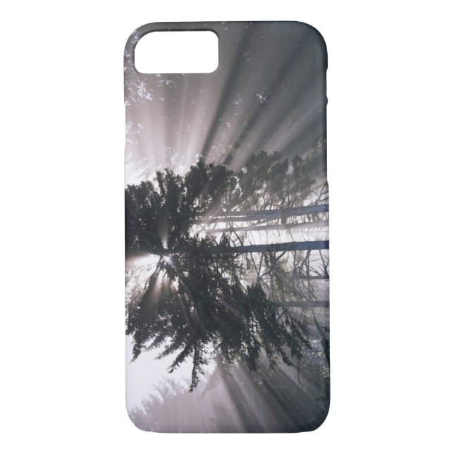 USA, Washington, Olympic National Park, Morning Case-Mate iPhone Case (Back)