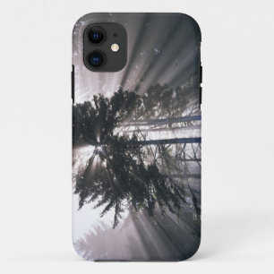 USA, Washington, Olympic National Park, Morning iPhone 11 Case