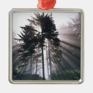 USA, Washington, Olympic National Park, Morning Metal Ornament