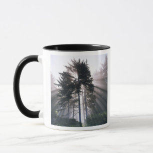 USA, Washington, Olympic National Park, Morning Mug