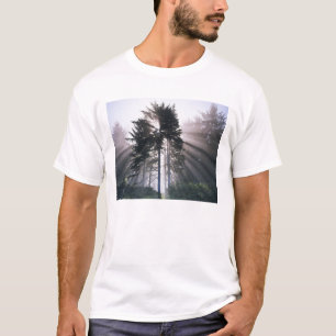 USA, Washington, Olympic National Park, Morning T-Shirt