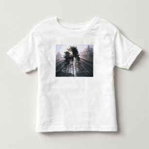 USA, Washington, Olympic National Park, Morning Toddler T-Shirt