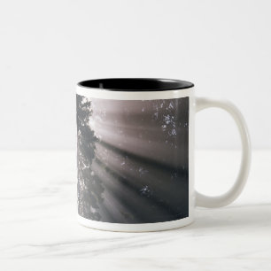 USA, Washington, Olympic National Park, Morning Two-Tone Coffee Mug
