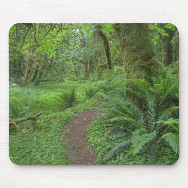 USA, Washington, Olympic National Park, Mouse Pad (Front)