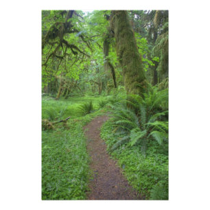 USA, Washington, Olympic National Park, Photo Print