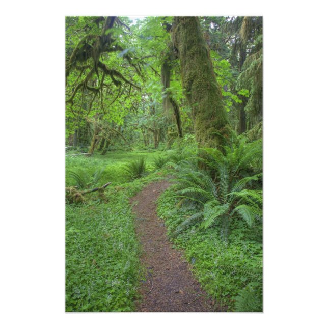 USA, Washington, Olympic National Park, Photo Print (Front)