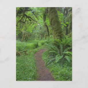 USA, Washington, Olympic National Park, Postcard