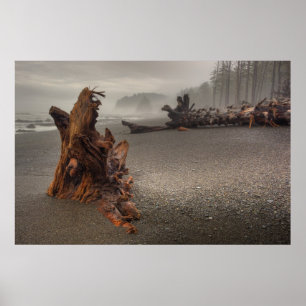 USA, Washington, Olympic National Park, Rialto 2 Poster