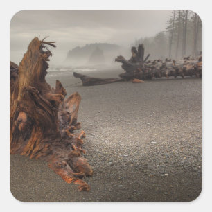 USA, Washington, Olympic National Park, Rialto 2 Square Sticker