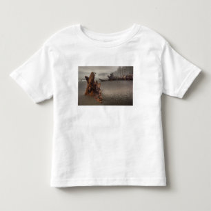USA, Washington, Olympic National Park, Rialto 2 Toddler T-Shirt