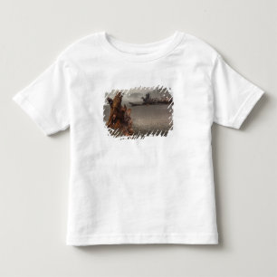 USA, Washington, Olympic National Park, Rialto 2 Toddler T-Shirt
