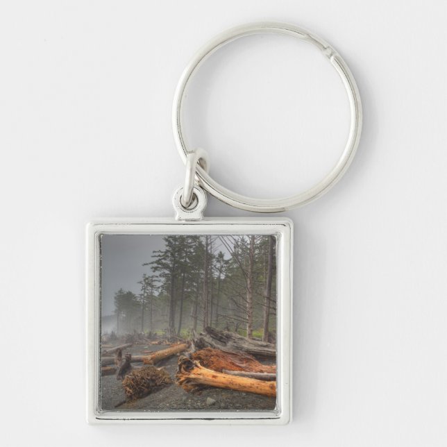 USA, Washington, Olympic National Park, Rialto Key Ring (Front)