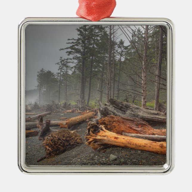 USA, Washington, Olympic National Park, Rialto Metal Ornament (Front)