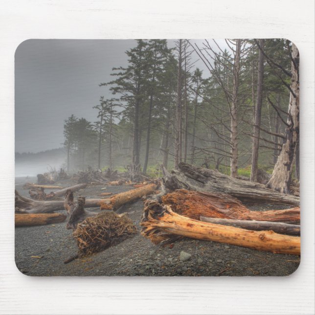 USA, Washington, Olympic National Park, Rialto Mouse Pad (Front)