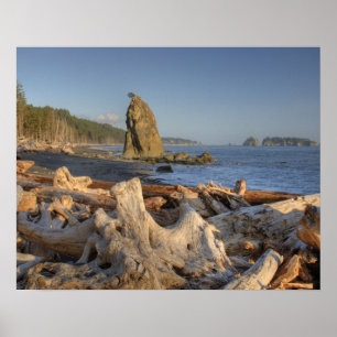 USA, Washington, Olympic National Park, Rialto Poster