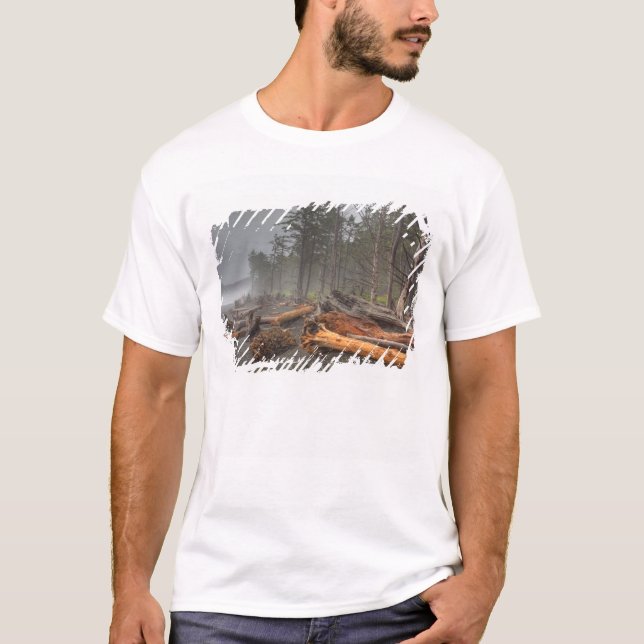 USA, Washington, Olympic National Park, Rialto T-Shirt (Front)