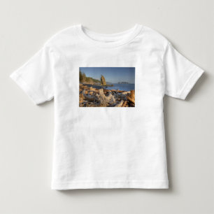 USA, Washington, Olympic National Park, Rialto Toddler T-Shirt