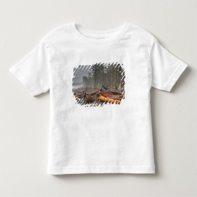 USA, Washington, Olympic National Park, Rialto Toddler T-Shirt (Front)