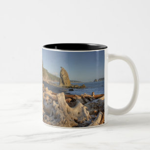 USA, Washington, Olympic National Park, Rialto Two-Tone Coffee Mug