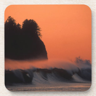 USA, Washington, Olympic National Park, Sea Coaster