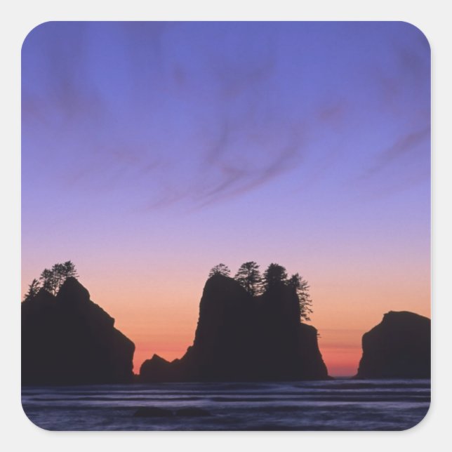 USA, Washington, Olympic National Park, Shi-shi Square Sticker (Front)