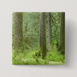 USA, Washington, Olympic National Park, Spring 3 15 Cm Square Badge
