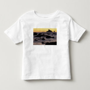 USA, Washington, Olympic Nat'l Park, Seastacks Toddler T-Shirt