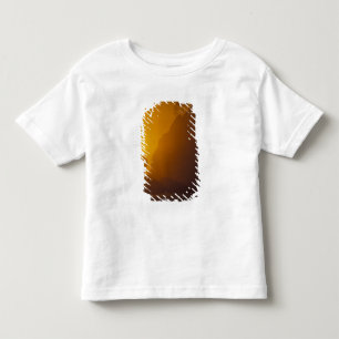 USA, Washington, Olympic Nat'l Park, Sunset, 2 Toddler T-Shirt