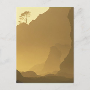 USA, Washington, Olympic Nat'l Park, Sunset, Postcard