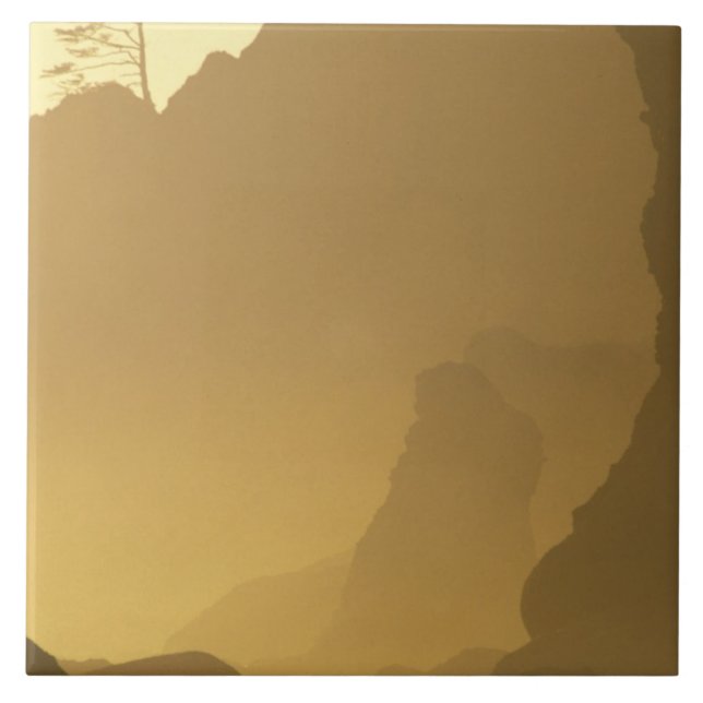 USA, Washington, Olympic Nat'l Park, Sunset, Tile (Front)