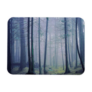 USA, Washington, Orcas Island, Moran State Park Magnet