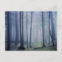 USA, Washington, Orcas Island, Moran State Park
