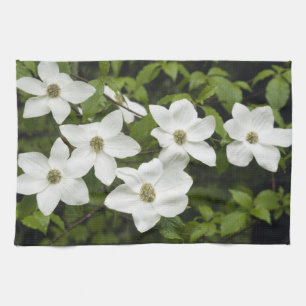 USA, Washington, Pacific Dogwood, Cornus Tea Towel