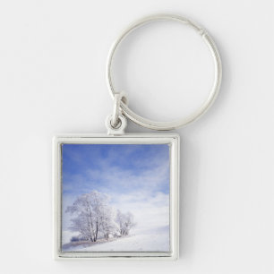 USA, Washington, Palouse Area, Frosted Black Key Ring