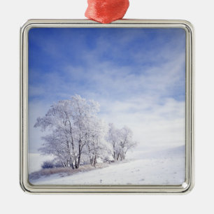 USA, Washington, Palouse Area, Frosted Black Metal Ornament