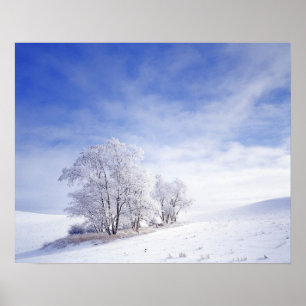 USA, Washington, Palouse Area, Frosted Black Poster