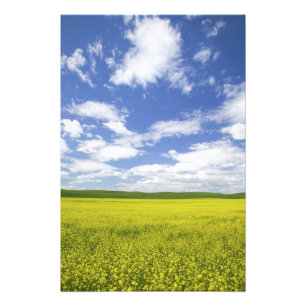 USA, Washington, Palouse Country, Blooming Photo Print