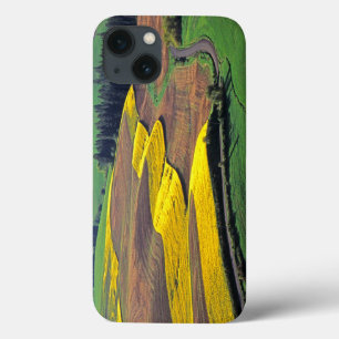USA, Washington, Palouse, Whitman County 2 iPhone 13 Case