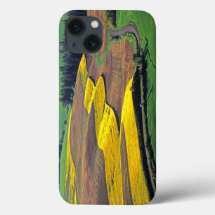 USA, Washington, Palouse, Whitman County 2 iPhone 13 Case